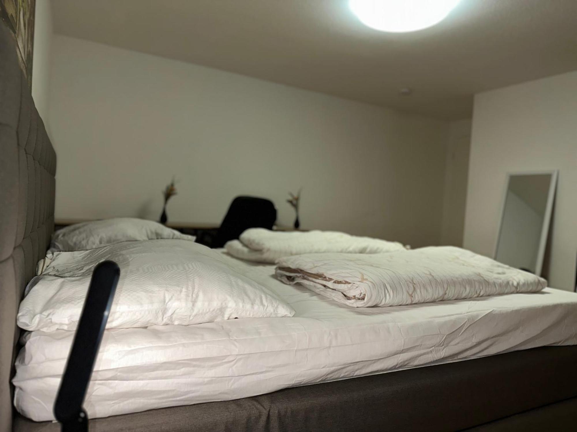 City Wohnung Zwickau Extérieur photo